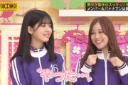 今日で星野みなみちゃんが23歳になったという事実…【乃木坂46】