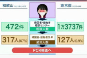 和歌山県、PCR検査自粛に従わず |  これ大阪や東京がやったらパニックになるぞ