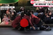 ディズニーランドのクリスマスパレード中に男が乱入するもキャストが速攻で取り押さえる…男は抵抗し現行犯逮捕