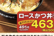 【画像】こういうのでいいんだよという究極の「カツ丼」ついに見つかる