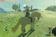 ゼルダのBotWで谷から白馬落としちゃったｗｗｗｗｗｗ