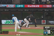 【謎】日本ハムファイターズが毎日バッテリーエラーしてる理由