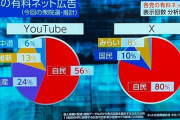 NHK「Twitter工作に金掛けた政党政党は1位自民党・2位国民民主・3位チーみら」