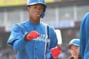 日ハム万波、オープン戦二冠ｗｗｗｗｗｗｗｗ