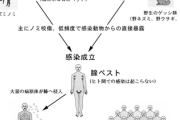 【速報】14世紀欧州で数千万人死亡の記録を持つ『伝説の最悪の伝染病(現代も致死率50－90％)』、中国とモンゴルで再び発症を確認
