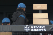 日本ハムさん、ちょっと酷すぎる...酷すぎるよお........