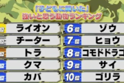 【画像】子どもに聞いた「強いと思う動物ランキング」10位ゴリラ、8位コモドドラゴン　気になる第1位は…？