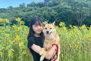 【元STU48 #瀧野由美子】由美子、あんこ、向日葵🚄🐶🌻