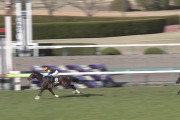 【競馬】悲報・・ヴェロックス大阪杯回避wwwwwwww
