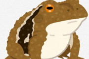 【豪州】２６種類のカエルが絶滅の危機に　気候変動やツボカビ症などの感染症が主因