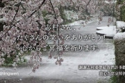 【台湾】蔡英文総統、 志村けんさん、国境を超えて台湾人にたくさんの笑いと元気を届けくれてありがとうございました。ご冥福を心から祈ります。