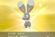 【ポケモン】「色違いのホルビー」って下手に触れたらアカン奴感漂ってるよな（※画像）