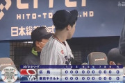 ヤクルトスワローズが貯金１で耐えている最大の要因wwuwwuwwu