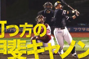 ソフトバンク甲斐、ＤＪジョンソンから8号ソロホームラン！