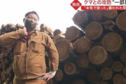 【クマの対処法】襲われた場合は両手で首を守る！出会ってしまった場合はその場をそっと立ち去る
