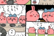 ちいかわ、無能すぎる…