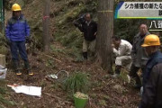 すごいこと思いついた！　鹿を餌でおびき寄せて罠で捕獲すれば簡単で効率も高くなるんじゃね？　林野庁が新考案