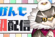 【初配信？】また新人来るのかw