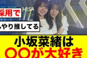 【ひなあい】小坂菜緒のブースプレゼン内容が衝撃的！！〇〇愛がとまらない