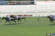 【日曜函館6R】デルマジュテーム(的場均厩舎)×的場勇人騎手がｷﾀ━━━━(ﾟ∀ﾟ)━━━━!!