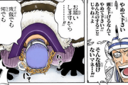 【ONEPIECE -ワンピース】ギン「ドンはなぁ・・・ドンクリーク(1700万ベリー)はこの海で最強の男なんだぞッ！！！」←これｗｗｗ