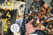 外国人「日本ではヤバすぎる猫の写真集を見つけてしまった」