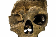発見された頭蓋骨から7500年前のイベリア女性の顔を復元！