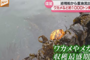 宮城県塩釜港　ワカメなど1000トン『廃棄』へ、海保の巡視船から重油流出「かなりの衝撃・打撃です」[3/31]