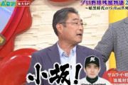ロッテOB初芝さん、現役時代はフライが上がったら「オーライ」ではなく「小坂！」