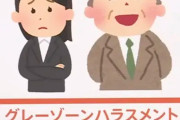 最強のハラスメント「グレーゾーンハラスメント」爆誕ｗｗｗｗｗｗ