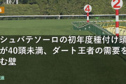 ウシュバテソーロの初年度種付け頭数が40頭未満、ダート王者の需要を阻む壁