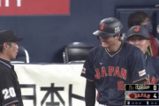 大谷翔平さん、白井塁審の胸をグーパンチｗｗｗｗｗｗ