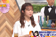 【ワイドナショー】峯岸みなみ 「いまのとこ行ったり来たりで一緒に住む予定はない」【別居婚】