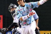 ロッテ細川亨(元西武SB楽天)のWikipediaが長すぎる