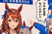 【ウマ娘】何かがおかしいタマモクロス1st写真集ｗｗｗ