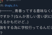 【正論】アニメアイコン「青春ってする意味なくない？学校は勉強する場所だよ？」ﾄﾞﾔｯ！