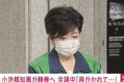 【入院】小池百合子、声がかれてしまい都内の病院に静養