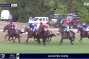 識者「エントシャイデンが3着なのに日本馬に馬場が合わないとか無いから。凱旋門組が弱いだけ」
