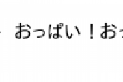 14.5年前のオタク「(ﾟ∀ﾟ)o彡゜えーりん! えーりん!助けてえーりん!」←これだけで楽しめた時代