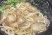 【朗報】かすうどんとかいう謎のうどん、美味い