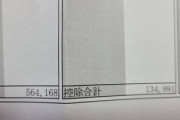 ワイ「ぼ、ボーナスちゃん！そんなにたくさん控除しないで！」ボーナス「うるさいですねぇ…」