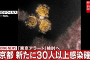 【速報】「東京アラート」へ検討へ　感染30人以上