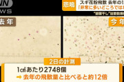 【花粉】“10年に一度レベル”大量飛散…量は去年の12倍「非常に多いどころではない」