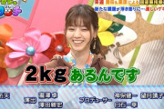 【元乃木坂46】西野七瀬『実は首につけてるスカーフ、2kgまる♡♡♡』