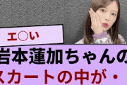 岩本蓮加ちゃんのスカートの中が・・・【坂道オタ反応集】【乃木坂46 2chまとめ】#岩本蓮加 #おひとりさま天国#Monopoly