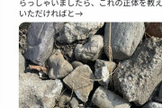 【画像】女さん、本気でヤバそうな不審物を発見してガチ焦りｗｗｗｗｗｗ