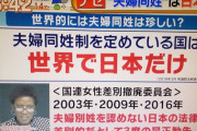 丸川男女共同参画担当相、選択的夫婦別姓に反対していた理由を答えず、結婚前の通称使用の拡大に取り組む姿勢を強調
