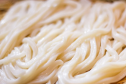 【悲報】香川県のうどん、言われるほど美味しくない