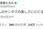 【悲報】宇多田ヒカルさん、Xで炎上し、ネット民みたいなレスバをしてしまう