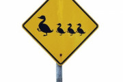 「アヒル注意の標識だと思ったら…別の意味だった」人々を混乱させていた標識